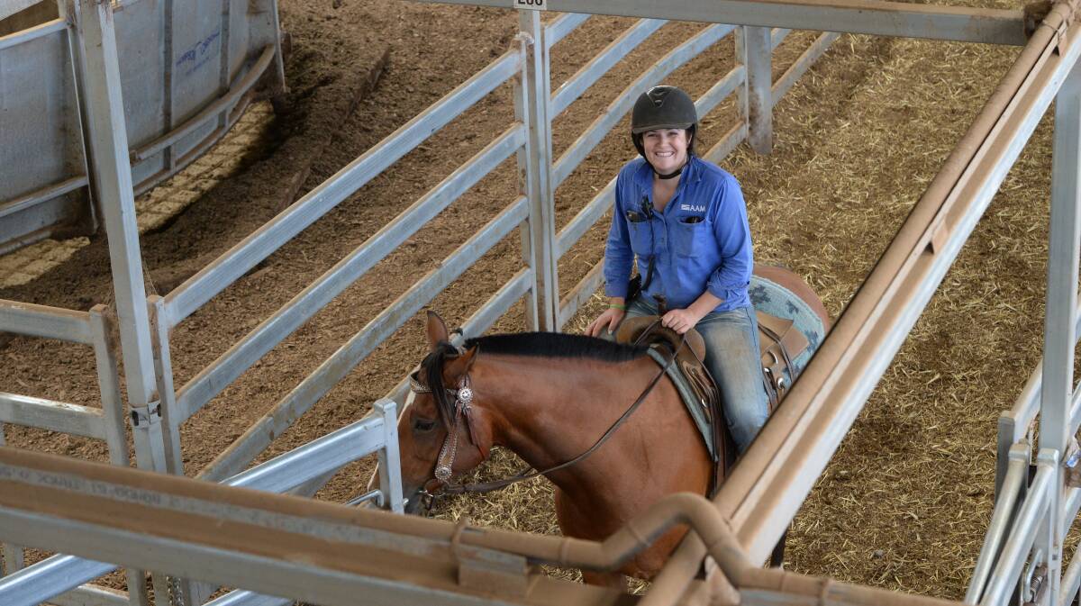 HORSEPOWER: Many of the bigger saleyards rely on horseriders such as Alexis Wilson, Northern Victoria Livestock Exchange, to move stock. (File photo)
