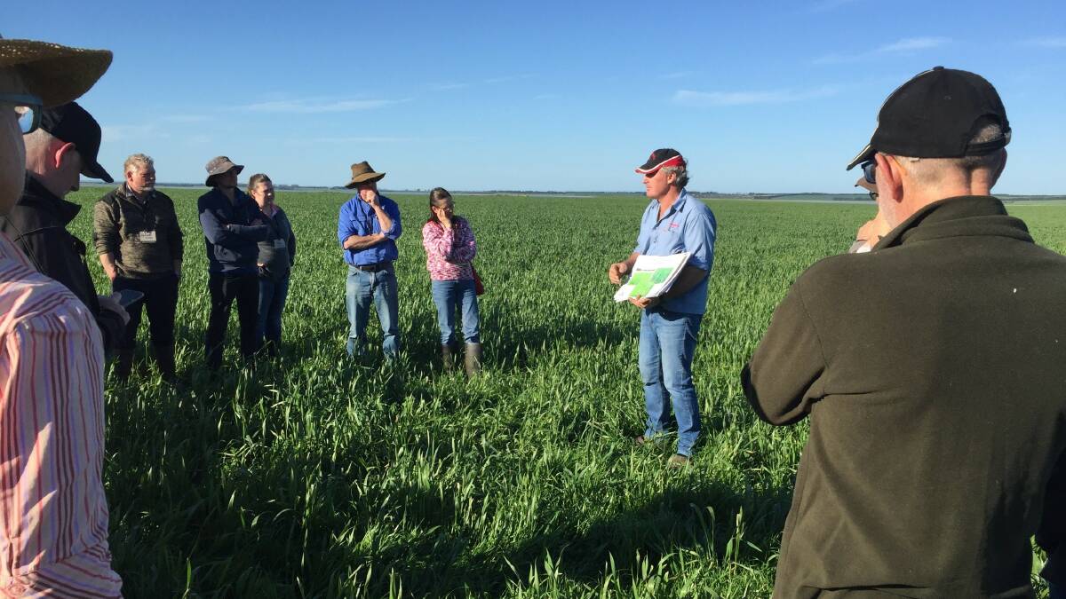 LEARNING: Southern Farming Systems recently conducted a sub soil workshop, funded by the Corangamite Catchment Management Authority, that was attended by local landholders. 