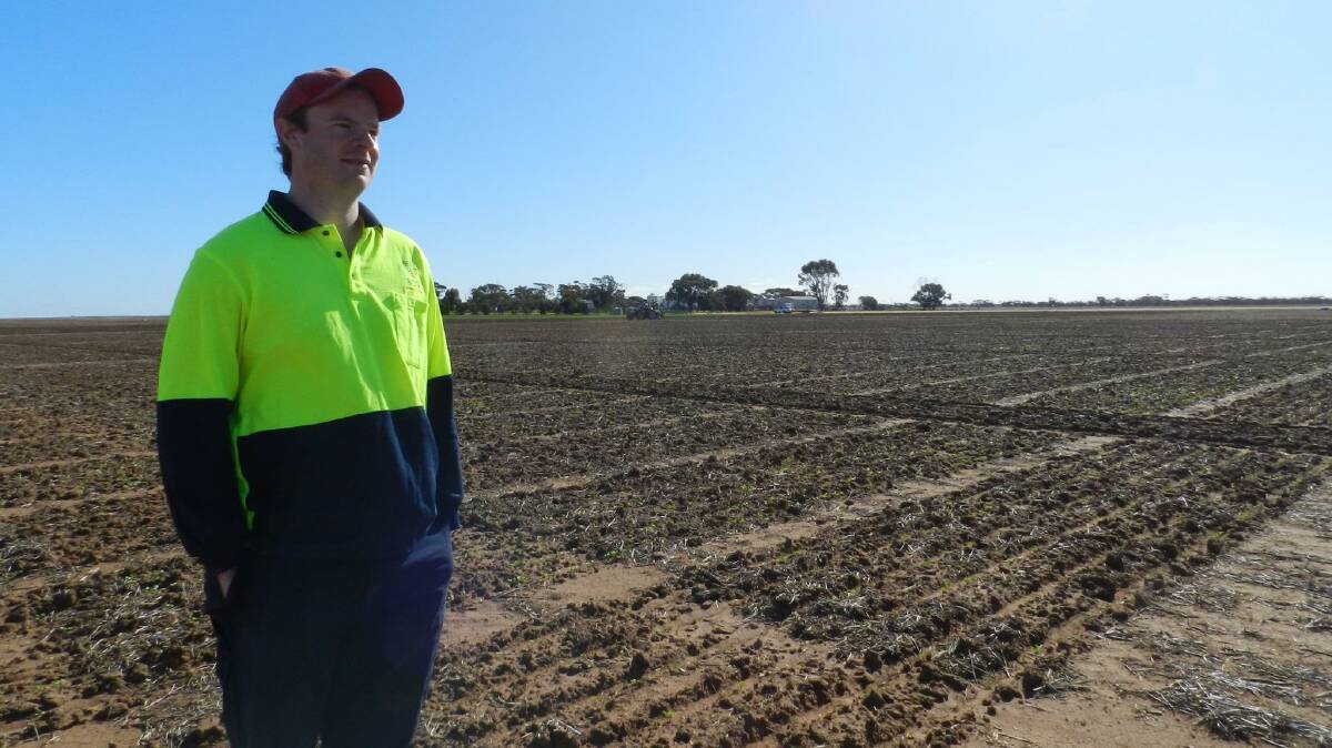 LATE START: Birchip Cropping Group senior research manager James Murray says canola crops will likely be impacted by the late break. 
