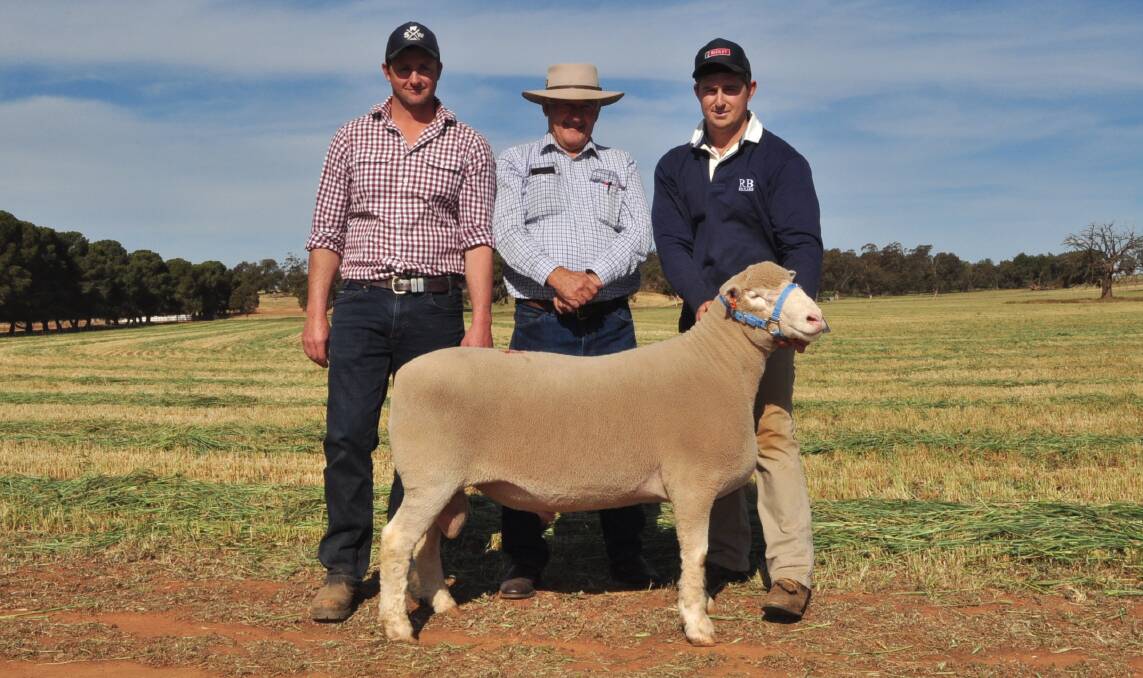 Dane and Dennis Rowley, Springwaters Poll Dorset stud, Boorowa paid $7500 for the top Armdale Park Poll Dorset stud sire last Friday. Pictured with Sam Armstrong, Armdale Park, Marrar.