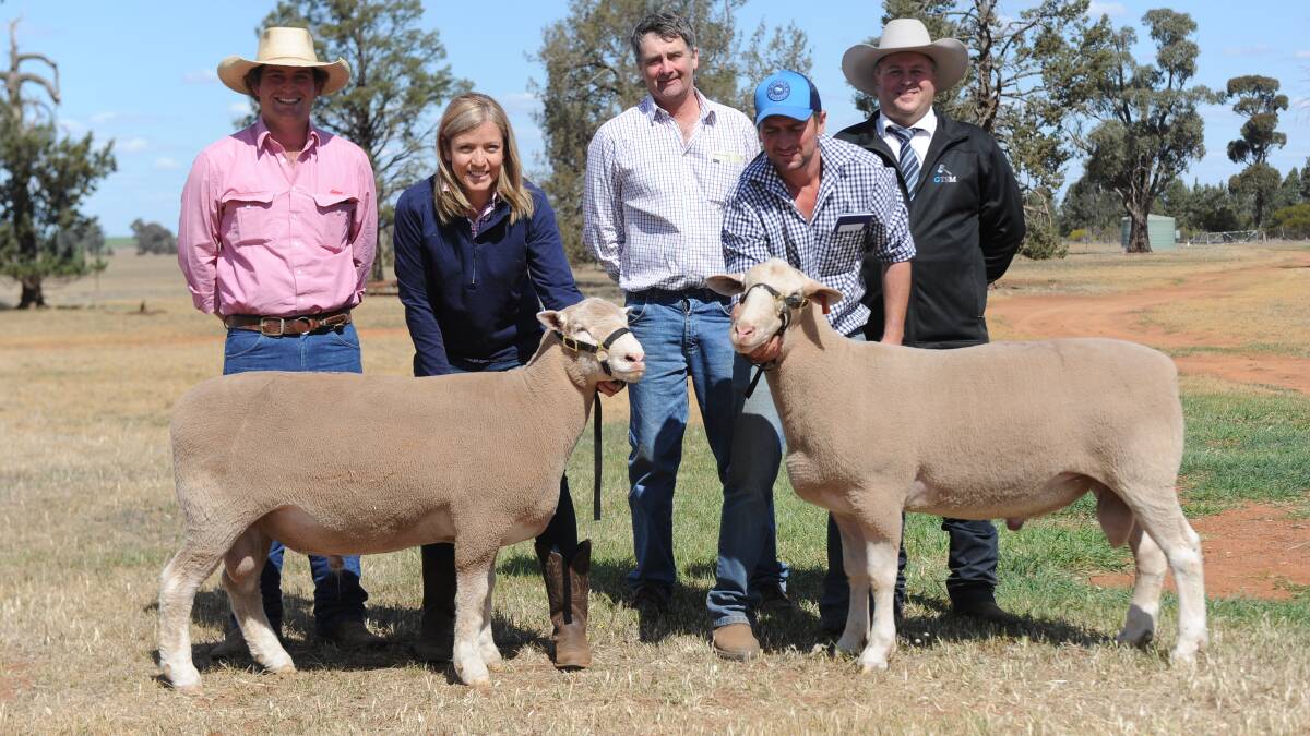 Elders Wagga agent Will Stoddart, with top priced buyer Dugald McIndoe, Smithston Poll Dorset and White Suffolk studs, Glencoe, Michael Glasser, GTSM, and Kurralea stud principals Lucy and Ben Prentice, Ariah Park.