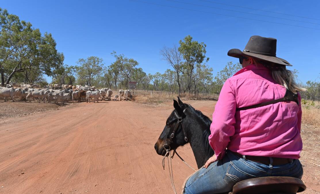 The recognition of the work of women in Australian agriculture has come a long way in 30 years but there are still barriers to be overcome. Picture Shutterstock