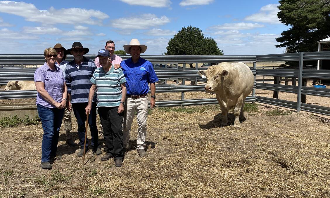 RETURN BUYERS: Narweena Station co-principals Angela and Robert Perkins and George Crocombe, with Shelby Howard, Charles Stewart Dove, and Ross Milne, Elders (back), and Rob Abbott, Mount William Charolais.
