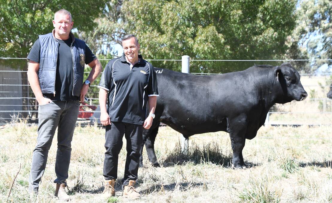 TOP-PRICE: Ben Kay, Mingela Pastoral Company, with Sam Trovatello, Adameluca Angus, and the top-priced bull Lot 18.