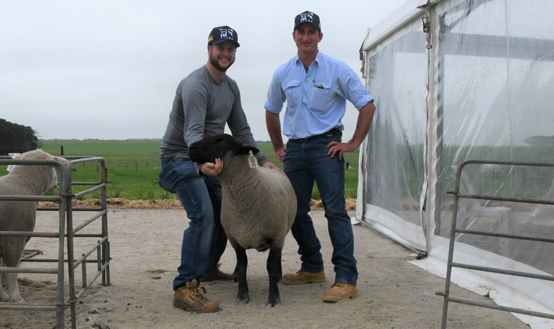 TOP PRICE: Australian Wool Network representative Luke Barber holding the top-priced ram, Lot 111, with LSK stud principal Lachie Kelly.