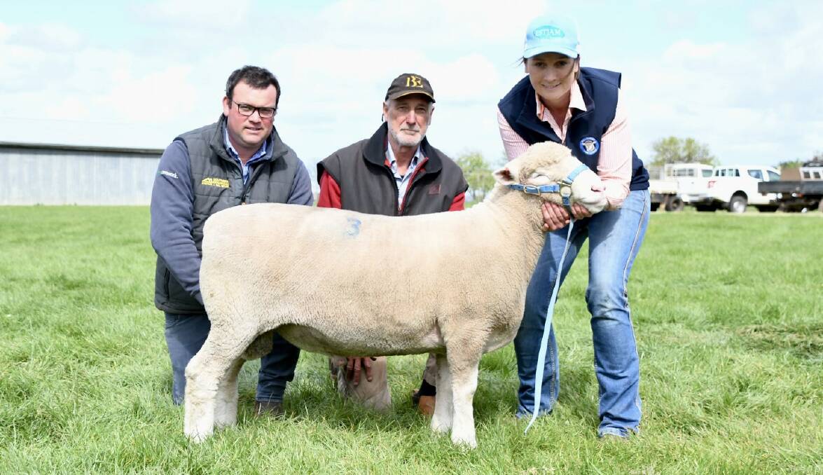 Southern Grampians Livestock agent Blair O'Toole with the top- priced ram purchased by Maurice Noske, Dunkeld, and held by Estjam Poll Dorset stud principal Esther Glasgow. Picture by Jess Sharp