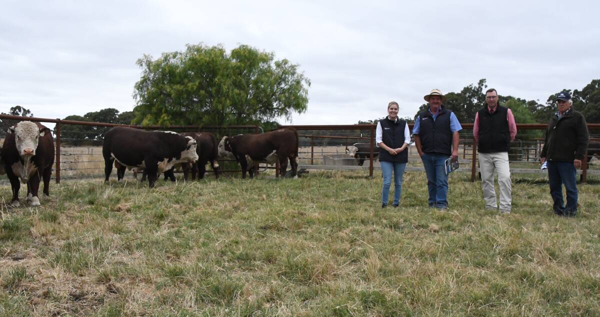 Elders Kerr & Co agents Molly Dennis and Craig Pertzel, with Elders auctioneer Ross Milne, and Yarram Park stud principal Antony Baillieu, with a pen of sale bulls.