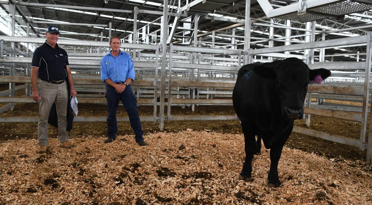 VOLUME BUYER: Driscoll, McIllree and Dickinson agent Gary Driscoll, Nhill, with Langi Kal Kal farm manager Kahn Jantzen, and one of the bulls purchased by Mr Driscoll.