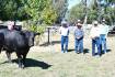 Alpine Angus support shines strong