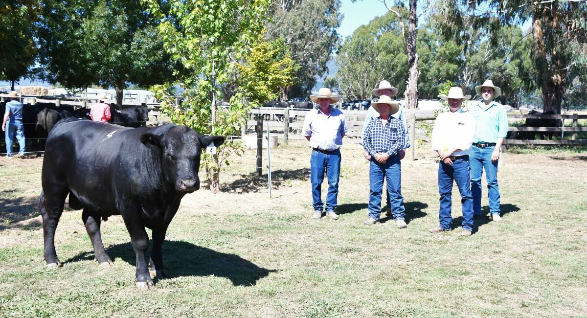 TOP-PRICE: Lot 4 with buyers Craig and Rob Ferguson, GTSM auctioneer Michael Glasser, Mick Curtis, Rodwells Euroa (back), and Wade Ivone, Paul and Schollard Nutrien Myrtleford (back).