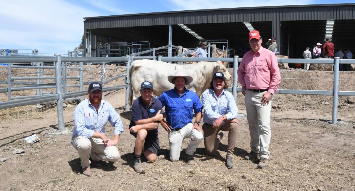 TOP-PRICE: Lot 1 with Andrew Dalton, Charles Stewart Dove, Bryce Galvin, Talgoona Charolais, Rob Abbott, Mount William, Shelby Howard, Charles Stewart Dove, and Ross Milne, Elders. 