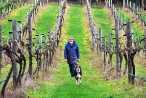 Roger Blake on his winery in Deans Marsh. PHOTO: Wayne Taylor, The Age.