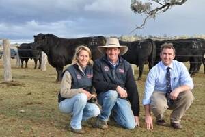 Wendy and Ben Mayne, Texas Angus, Warialda, with Tim Woodham, Roberts Ltd Studstock, Launceston, Tasmania, and the $30,000 Texas Dynamite E139 (AI) which was purchased by the Woodbourn Angus stud, Cressy, Tas, at last week's record-breaking Texas Angus bull sale.