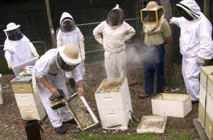 Bee Force participants in training. Photo - Sabine Perrone.