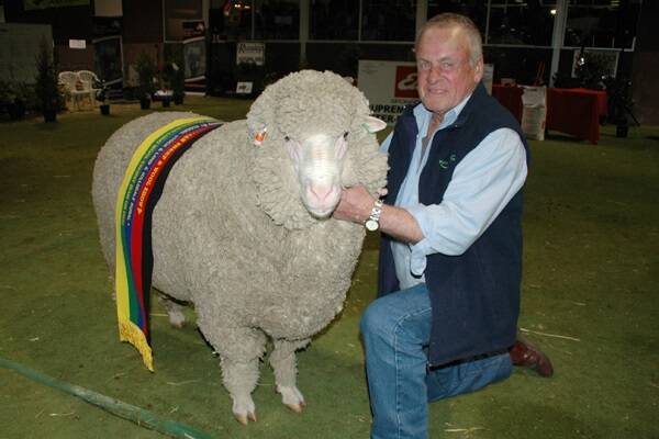 Geoff Kemp, Homeleigh Polwarths, Derrinal, Vic, with his winning supreme Australian long wool exhibit, a ram named ‘Dodger’.