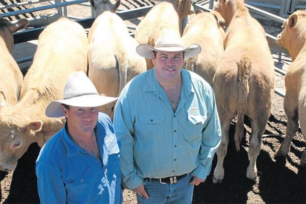 Anthony Hurst, Seriston Lucindale, SA, sold his annual draft of mixed sex Charolais Shorthorn weaners, to a top of 199c/kg. He is pictured with Landmark Naracoorte agent Leigh Warne.