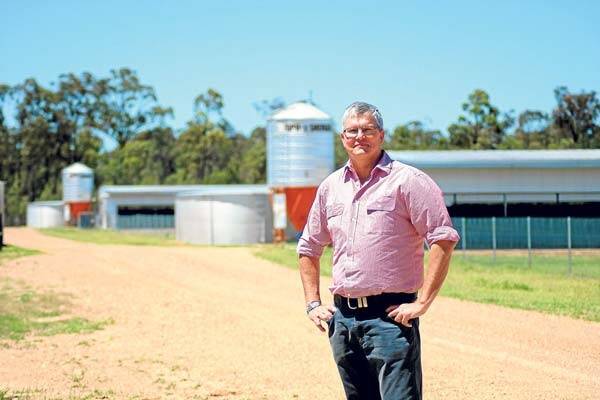R.M. Williams Agricultural Holdings’ Rory Richards on the company’s Inglewood, Queensland, property.