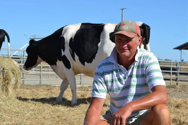 Avonlea Holstein stud principal John Gardiner is planning to take eight heifers and cows to IDW this year.