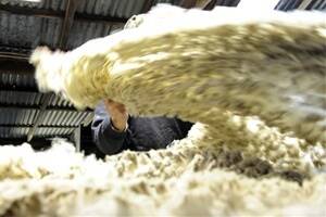 Solid start for wool in 2013