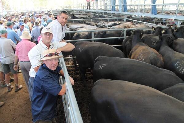 Stephen Handbury, Anvil Angus (middle), purchased 15 Angus heifers, PTIC to Burnbend bulls, at $800. Pictured with his manager Ian Bates (back) and Malcolm White, Inverugie. 