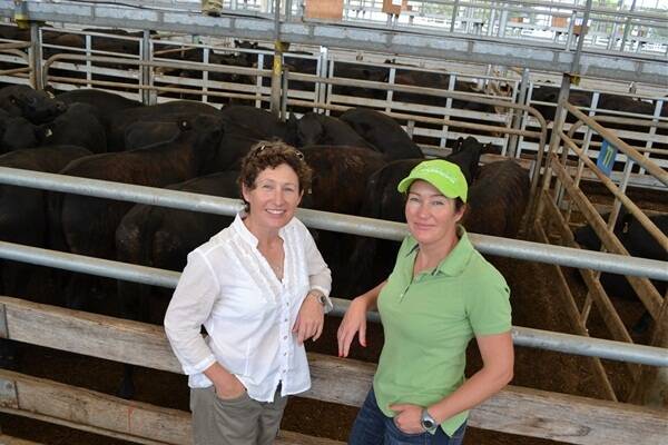 Sisters Narelle and Sheridan McLeod, Yarram, cleared 50 Angus steers to $655 at Leongatha today.