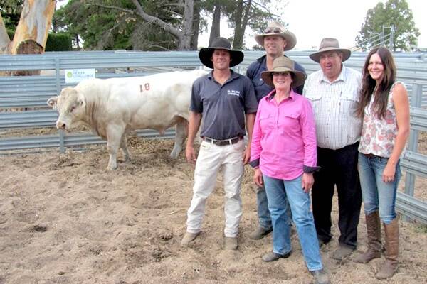 Rob Abbott, Mount William; Matthew Burmeister, Mount William; Marilyn & Terry Dove, Colac and Sybil Abbott Mount William with the $7000 top priced bull.