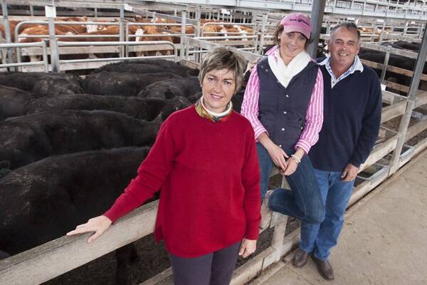 Liz and Graeme Glasgow and their daughter Esther of Claremont Angus sold some large drafts of steers and heifers at the Warrnambool sale last Friday. They achieved one of the top prices when this pen of 15 steers weighing 380kg brought 185c/kg. They also received $620 for 42 steers sold in the open auction section and $535 for another 12 steers.