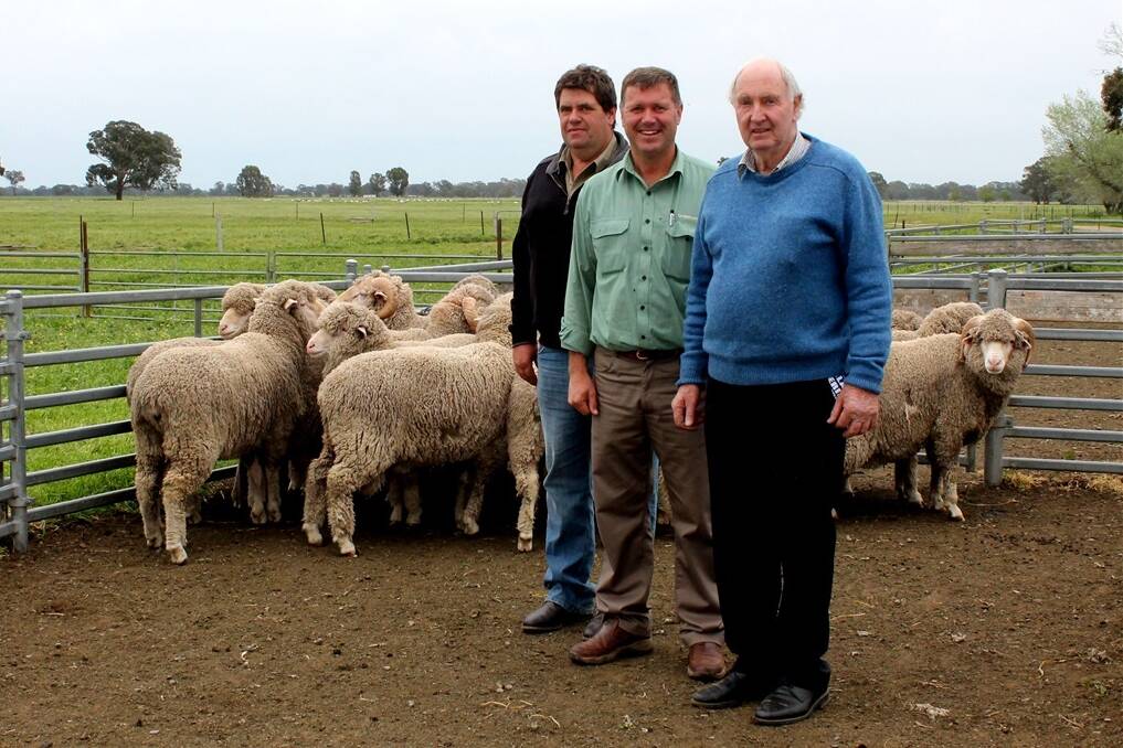 Trevor Corker, Alan Plunkett and Landmark agent Russell Mawson with the ten rams bought by the Plunkett family.