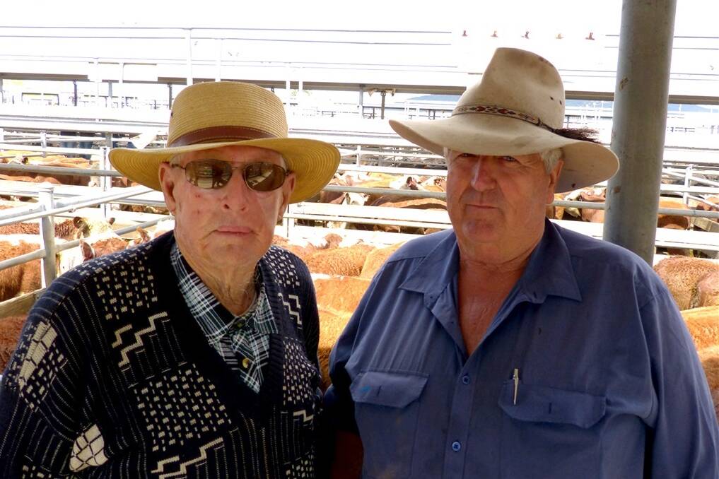 Vince Kelly (left), Jarvis’ Creek, Tallangatta, purchased 19 Hereford steers, 12-14mth from TA&DM Caldwell, Mitta Mitta at Wodonga. Dennis Cardwell, the vendor's cousin, assists Vince on the farm where Vince has 60 bullocks ready to sell.