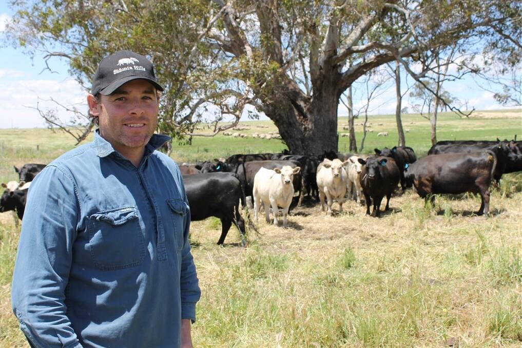 Sidonia Hills farm manager Sam White said allowing pasture to fully establish before grazing was important.