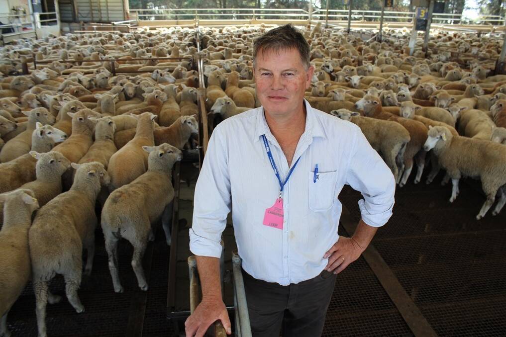 Manooka farm manager Leigh Harry says altering the natural joining cycle of their composite ewe flock has seen huge improvements with flock fertility.
