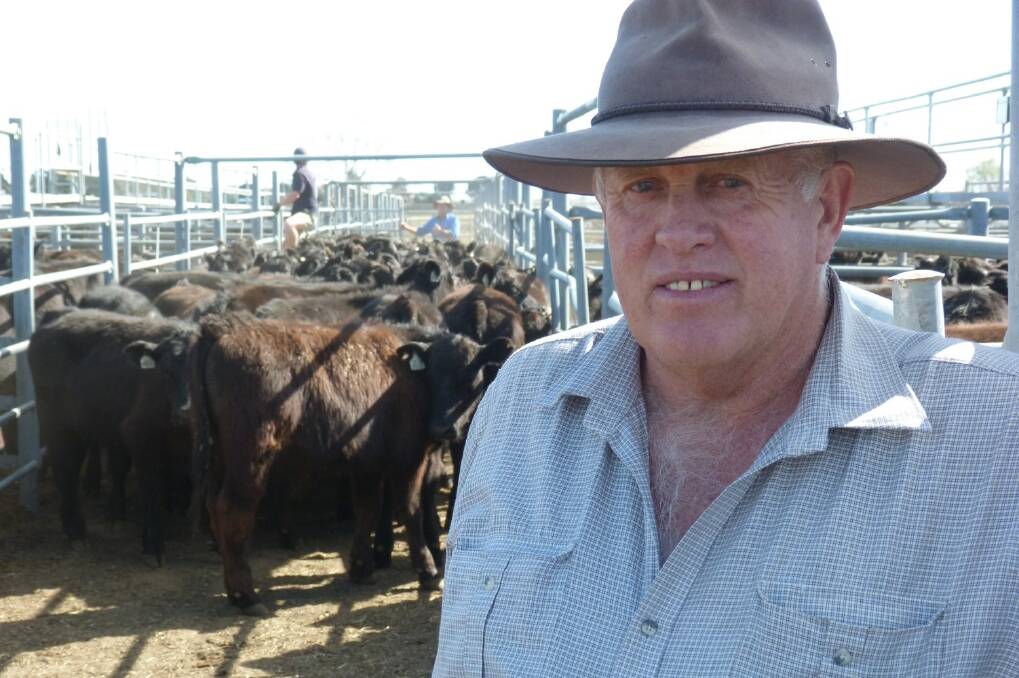 Raymond Henwood - the Hay store cattle sale's largest vendor. 