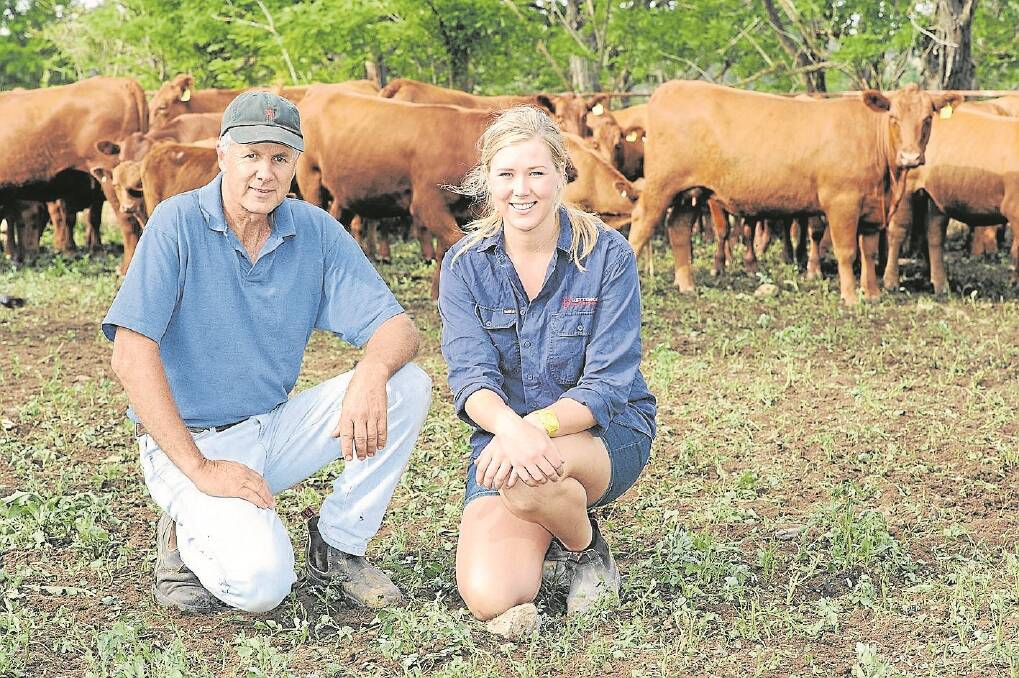 Daryl Schipp and his daughter Zoe, Schipps Red Angus, Wagga Wagga with young Red Angus cows, calves and heifers.