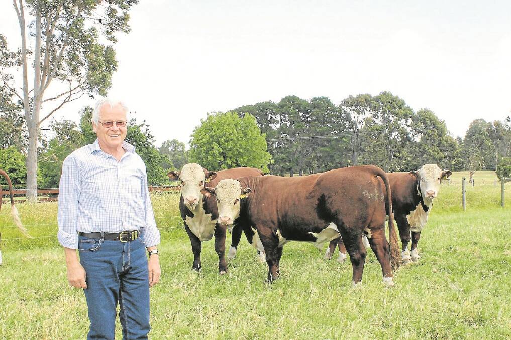 Principal Bill Kee with young Warringa Hereford bulls.