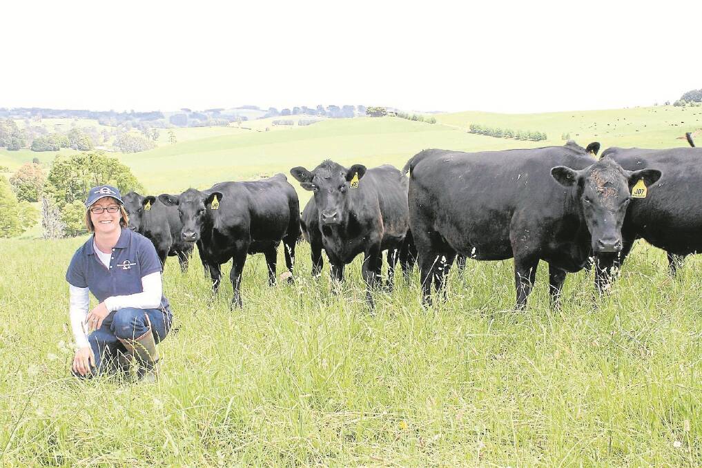 Anne Marie Barrow with Merlewood Angus heifers which have just been joined at the approximate age of 14 months.