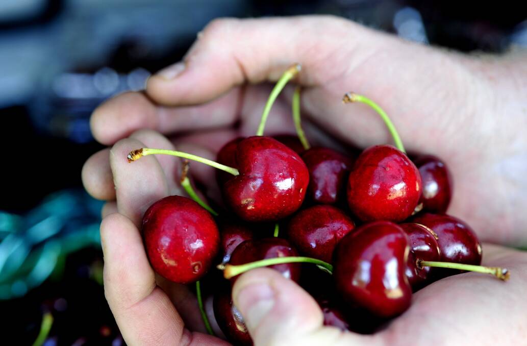 Tas cherries sought by Chinese