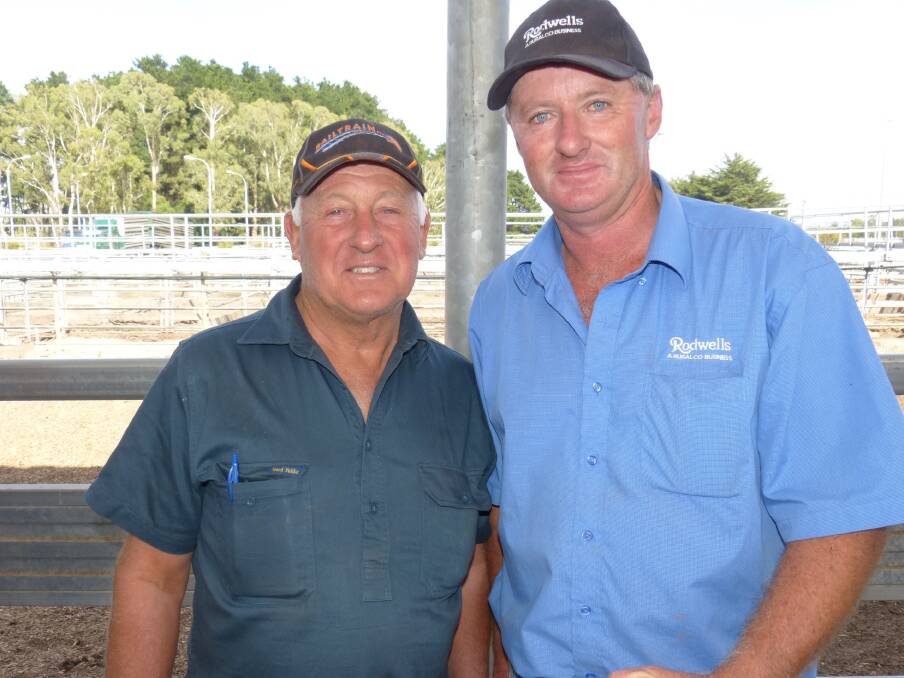 David Thompson (left), Wilkur Nominees, Leongatha North, offered the first pen of the day at the Leongatha F1 female sale, which was eight Angus-Friesian heifers, 2.5 years, with Limousin calves foot 4-6 weeks. These cows and calves sold for the sale's equal top price of $1800. David was discussing his sale with his agent, Damien Minogue, Rodwells Leongatha, who was also the auctioneer.
