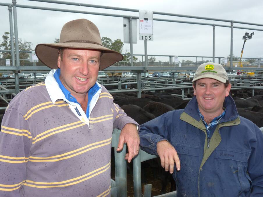 Powranna market vendors, Ben Grubb "Strathroy" and Winston Archer "Effingham" reflected on the market, the weather and an absence of buying depth at Tasmanian weaner sales this week. 