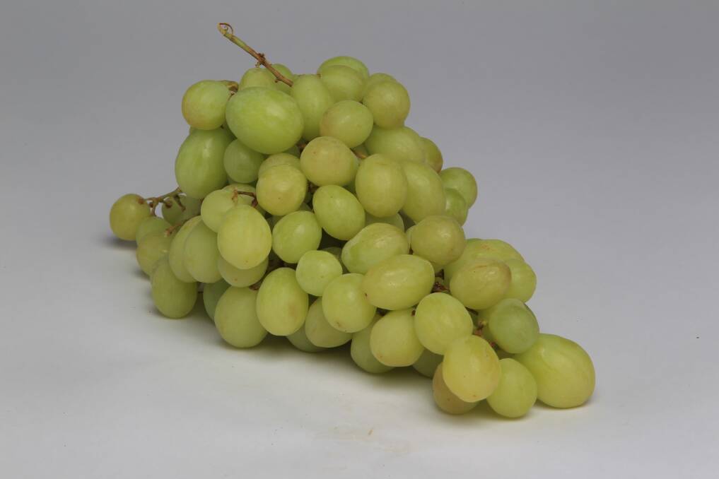 Table grapes and other fruit feature in promotion campaign across South East Asia.