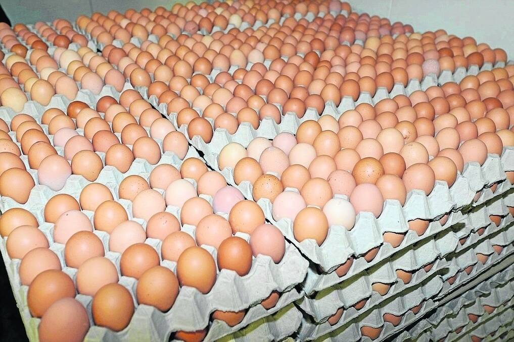 Egg producers to push limit