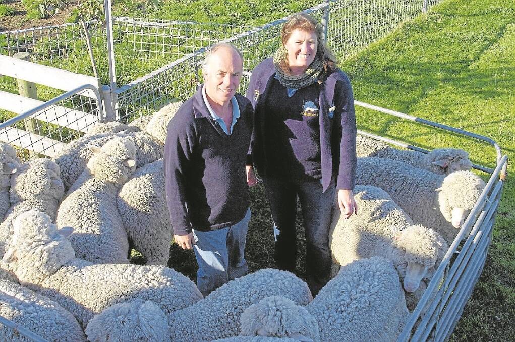 Steve and Lisa Harrison, Giffard, with some of their merino maiden ewes. Mr Harrison, a board member of WoolProducers Australia and a Victorian Farmers Federation livestock councillor, is worried Australia’s sheep flock is reduced to a point its population is not sustainable. 