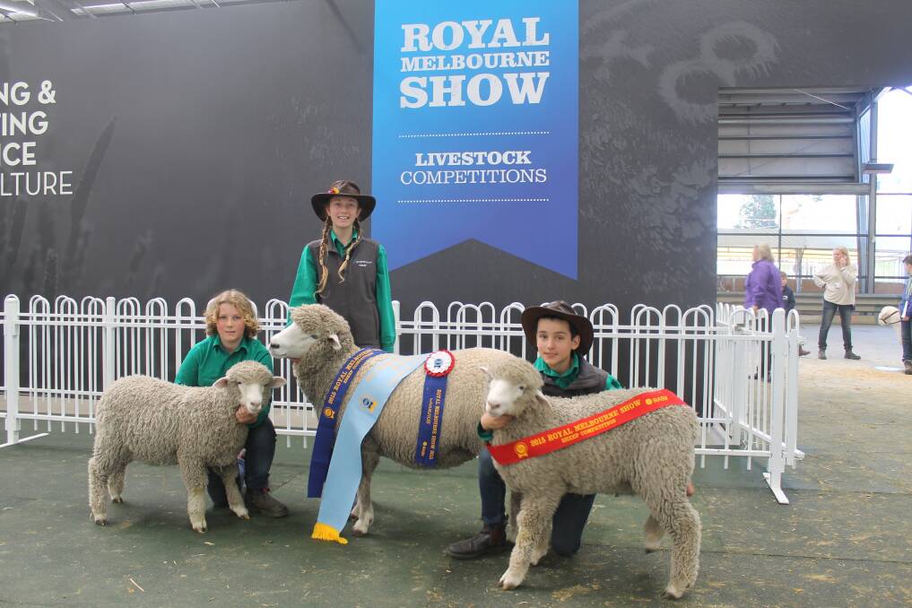 Woodleigh school, Langwarrin, took out the Supreme Champion Corriedale, with this ewe and lambs, pictured with handlers Cooper Scott, 12, Tom Illman, 13, and Caley Hood, 13.