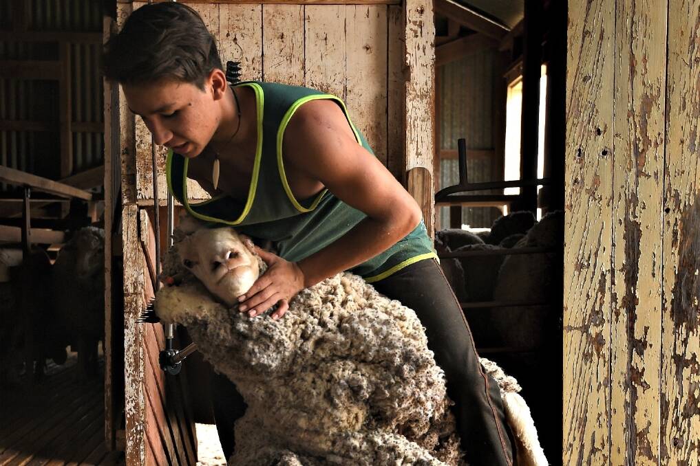 Woollen mills across the world have called on the Australian wool industry to review their industry animal welfare guidelines surrounding the mulesing of sheep.
