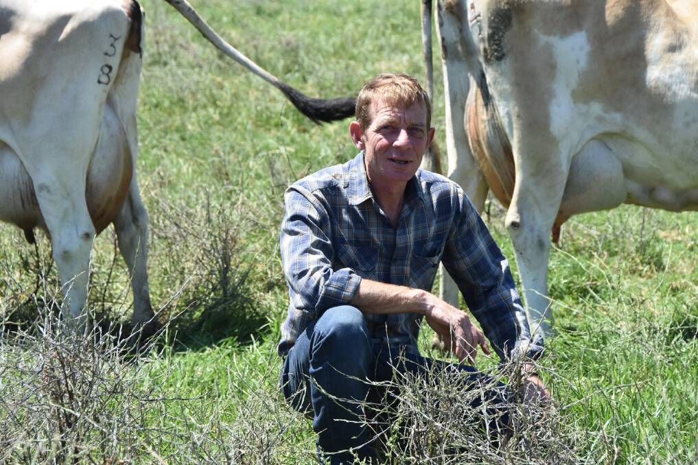 Production drops: United Dairyfarmers of Victoria president Paul Mumford says the latest data from Dairy Australia showing milk production down 22.6 per cent in northern Victoria were horrific.