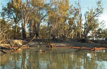David Jochinke says the first step in fixing the Murray Darling Basin must be to simplify the legislation to give the whole community certainty. Photo by Murray Darling Basin Commission.