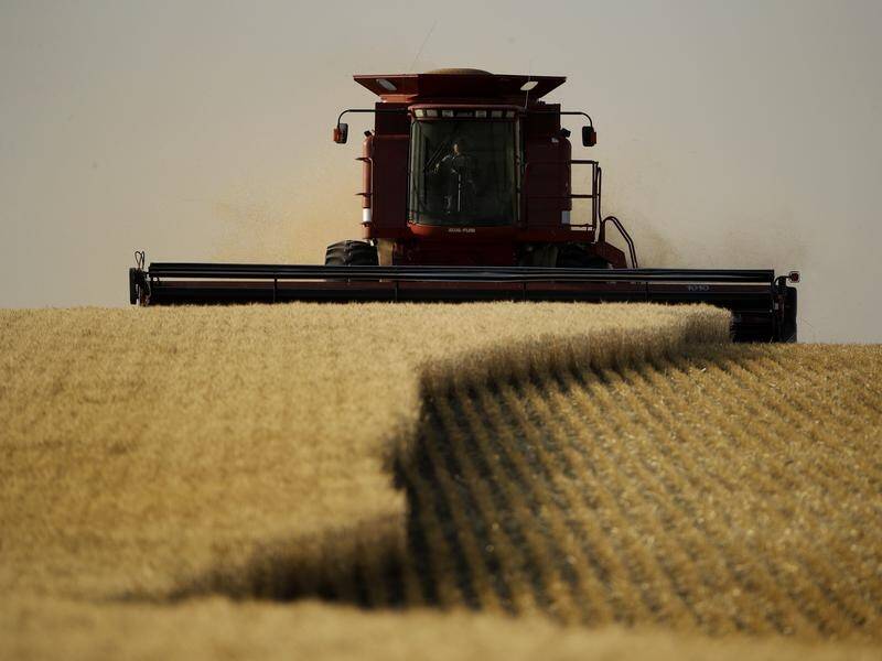 The value of Australian crops is expected to drop by seven per cent to $29 billion in 2018-19.