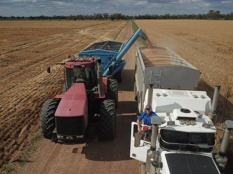 OUTLOOK: Australian agriculture is enjoying favourable conditions and 30-year price highs, ABARES says.