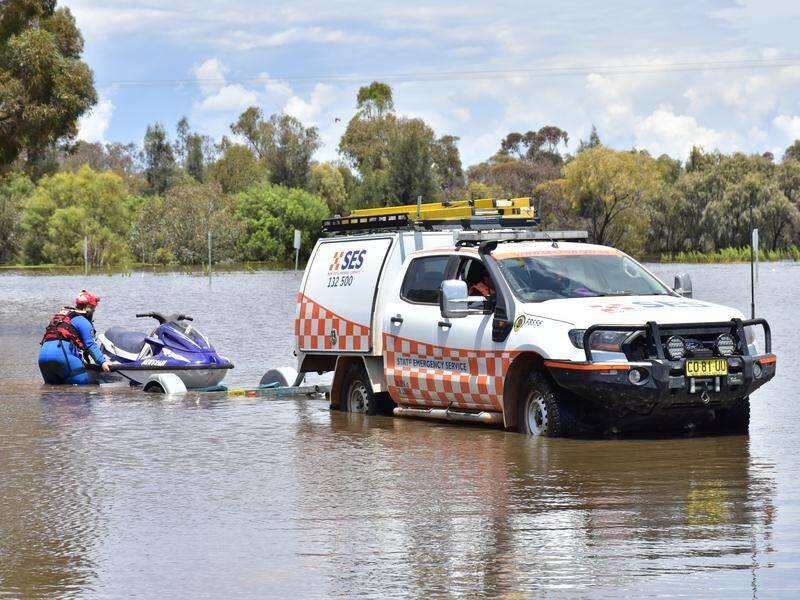 NSW authorities on Friday warned flood-prone communities to brace for a dangerous 72 hours. (Lucy Cambourn/AAP PHOTOS)
