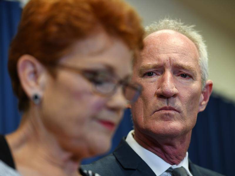 One Nation leader Pauline Hanson has addressed the latest scandal involving Steve Dickson.