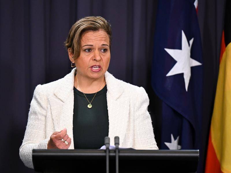 Communications Minister Michelle Rowland says the universal service obligation will be reformed. (Lukas Coch/AAP PHOTOS)
